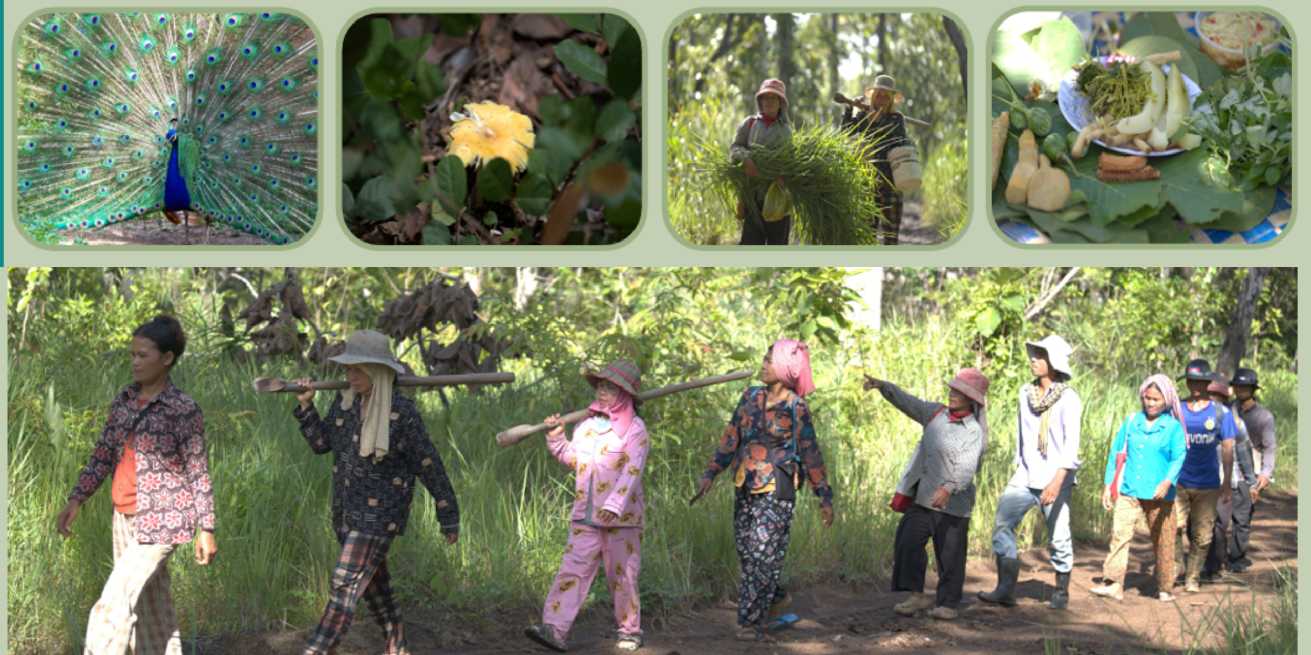 Sambo Aphivath Community Protected Area 